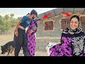 Download Lagu Iranian Nomadic Life \u0026 Love |Traditional Wedding,Family Struggles \u0026 Nature |Vali \u0026 Roghayeh's Story