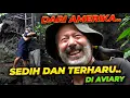 Lagu JAUH-JAUH DARI SAN DIEGO AMERIKA  CUMA MAU LIAT SAPI TERKECIL DI INDONESIA..!!