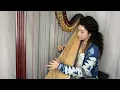 Donkey Kong Country 2 - In a Snow-Bound Land (Harp Solo)