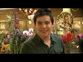David Archuleta - Crush (Yahoo! Music Originals 2008)