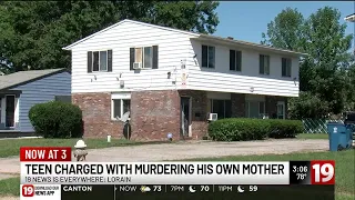 Lorain teen arrested for murdering his own mother police