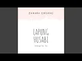 Lapung Husabi