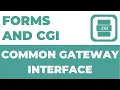 Forms and Common Gateway Interface CGI Complete Course