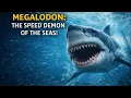 Lagu Megalodon: De snelheidsduivel van de zee!