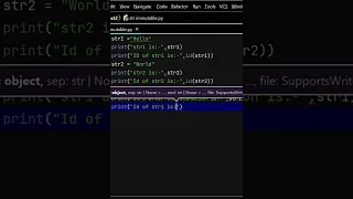 String Concatenation and Memory IDs in Python