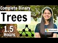 Binary Tree in Data Structures All about Binary Tree DSA Course