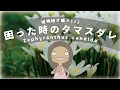 Download Lagu [🔰Must-See! Super Strong] Characteristics and How to Grow the Cute Autumn Flower \