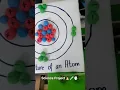 Structure of an atom Science project