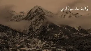 لطميات مسلم الوائلي  جابوا اسمك بالطواري صيحت يا بعد عمري دندنها