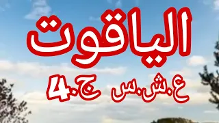 حكاية الياقوت الجزء الرابع 