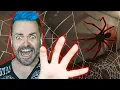 Lagu OUR PET SPIDER KEEPS GROWING! | Lurking | Indie Gameplay