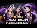 Lagu Terbaru !!! WAROK NYAI BENDOLEGI - SALEHO KARYA BUDAYA (ABAH LALA) - LIVE Jambe Candigaron Sumowono