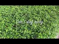 Have Me | Hulvey | Lyric Video