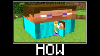WAIT WHAT Minecraft 4 S3 