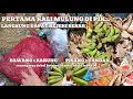 Download Lagu Mulung pisang dapat 1 tundun‼️bawang merah 1 karung#mariles #mulung #berkah 