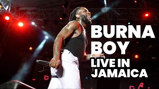 Burna Boy Gives Epic Performance of  Last Last in Kingston Jamaica | Love Damini Tour