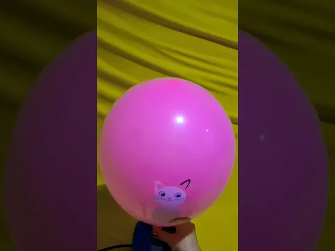 CAT BALLOON INFLATION AND DEFLATION!!!