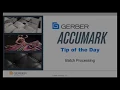 AccuMark Tip of the Day - Batch Processing