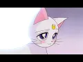 Sailor Moon Artemis finally confesses his feelings to Luna