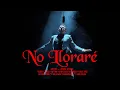 Download Lagu Euphoria - No lloraré Vídeo Clip D.R.A