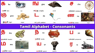 tamil alphabets tamil consonants learn entry