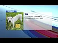 Pet Pals St Joseph Animal Shelter highlights sweet pup Tia