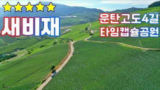 운탄고도 1330 4길 새비재 . 강원도 정선 신동 . 타임캡슐공원 . 50만평 배추밭 . 은하수 . 아름다운 길 드라이브 . 드론 . 잠깐쉼 . 4K . BGM 썸네일