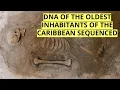 Download Lagu Ancient DNA Reveals the Caribbean's First Inhabitants Weren't Who We Thought