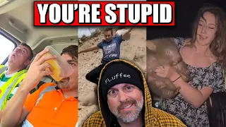 LEAVE ANIMALS ALONE! 😡 - You're Stupid! # 184