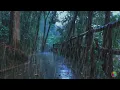 Download Lagu ✅【白噪音】樹林美麗的雨聲和雷聲，極度舒適雨聲，睡眠，放鬆，治療，專注，學習，正念，助眠，入睡，減壓，asmr，rain sounds for sleeping