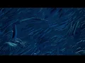 RÜFÜS DU SOL - Make It Happen [Official Audio]