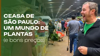 CEASA de São Paulo: um mundo de opções e preços bons.