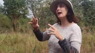 BIOMA CERRADO  -  ENTREVISTA COM GISELDA DURIGAN