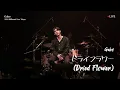 Download Lagu [LIVE] 가호(Gaho) - ドライフラワー(Dried Flowers) Original Song By 優里 Yuuri (Billboard Live Japan)