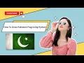 How to draw Pakistani flag using python Python Turtle Python Coding Python Graphs