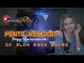 Download Lagu Dj pentel kecakot | pentil kecakot | dj slow bass horeg | TungkeL RMX