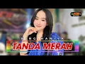 Download Lagu TANDA MERAH // NING HANIYA // ACS PRO AUDIO