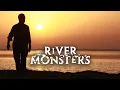 Relaxing River Cruise Through Botswana With Lo-Fi Music