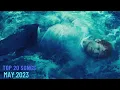 Download Lagu Top 20 Songs: May 2023 (05/20/2023) I Best Billboard Music Chart Hits