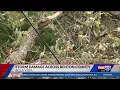 Carroll Electric restoring power in Benton County KFTA