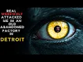Download Lagu A REAL WEREWOLF ATTACKED ME AT AN ABANDONED FACTORY IN DETROIT.