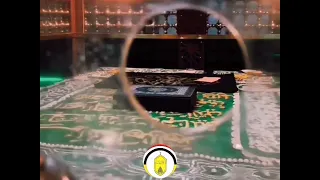 الشيخ أيمن هريدى أنا الرفاعى أسأل عنى وعن مددى      دندنها