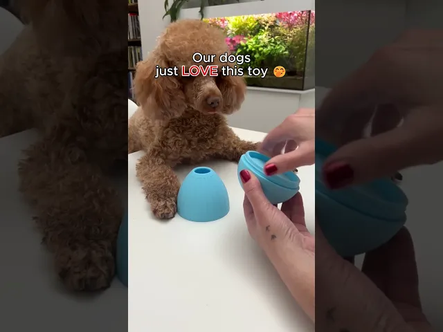EASTER WIGGLY EGG  video thumbnail