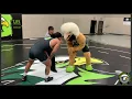 Life University Men s Wrestling How to Score in Folkstyle Wrestling