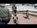A Walk On Annapolis City Dock Ego Alley