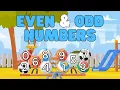 Download Lagu Even and Odd Numbers | Learn whether a number is even or odd