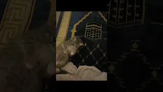 اللهم امين يارب العالمين اشتراك لايك بحبكم 