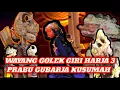Lagu WAYANG GOLEK GIRI HARJA 3 KI DALANG ALM KH ASEP SUNANDAR SUNARYA PRABU GUBARJA KUSUMAH