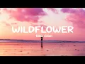 Lagu Billie Eilish - WILDFLOWER (Lyrics)