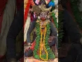 Download Lagu Meri lado🙏#shortsfeed #devotional #kali #kalkamai #dance #jhanki #video